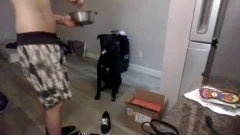 letsdoit206 online show from January 10, 2025, 2:25 am