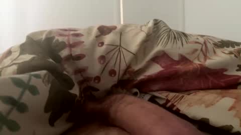 Snapshot of letsgohome2222 chatting on October 11, 2025, 2:37 pm letsgohome2222 online show from October 11, 2025, 2:37 pm