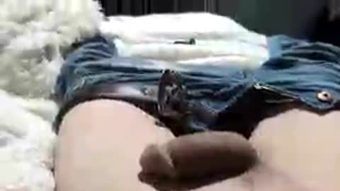 letslookateach online show from July 1, 2026, 6:04 am