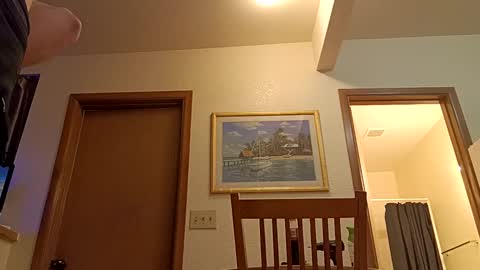 Snapshot of letsplay361 chatting on March 8, 2025, 1:47 pm letsplay361 online show from March 8, 2025, 1:47 pm