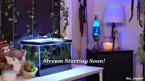 Snapshot of lex_taylor chatting on February 17, 2025, 4:04 pm Lex online show from February 17, 2025, 4:04 pm