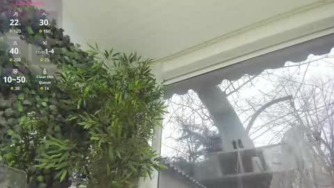 lexi_storm online show from January 8, 2026, 8:16 am