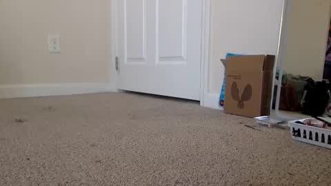 Alexia L. online show from November 19, 2025, 4:40 pm