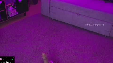 Snapshot of liaa_rodriguezz chatting on February 19, 2025, 2:55 am Liaa  online show from February 19, 2025, 2:55 am