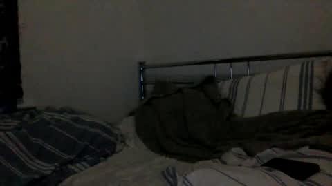 liamj1986 online show from December 18, 2025, 8:09 am