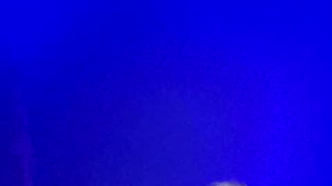 Snapshot of lickyouryoni chatting on January 13, 2025, 2:21 pm LickYourYoni online show from January 13, 2025, 2:21 pm