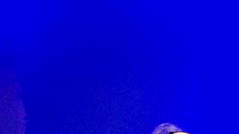 Snapshot of lickyouryoni chatting on February 23, 2025, 3:08 pm LickYourYoni online show from February 23, 2025, 3:08 pm