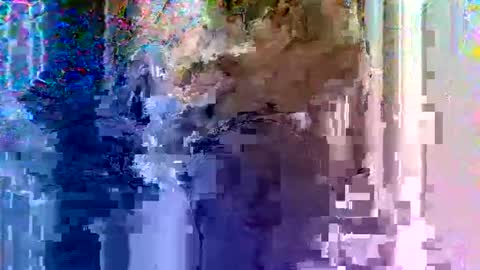 Light Mage online show from February 18, 2026, 7:59 am