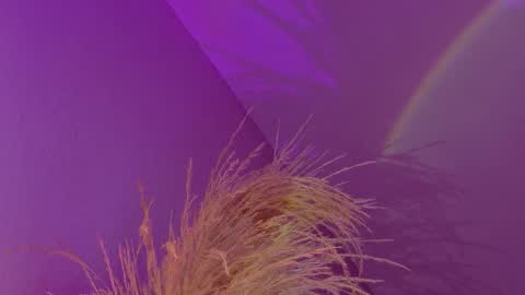 Liiam Luna online show from January 17, 2026, 9:14 am