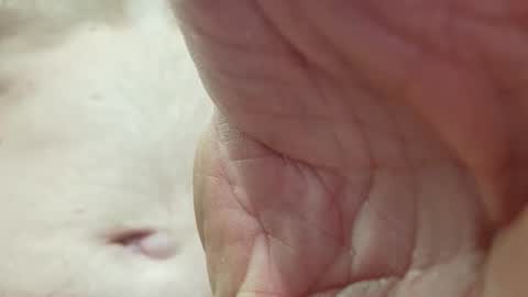 like_fun_ online show from April 8, 2026, 5:51 am