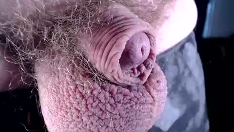 Snapshot of lildickbigbelly chatting on July 6, 2026, 7:16 pm lildickbigbelly online show from July 6, 2026, 7:16 pm