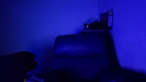 Fernando online show from November 7, 2025, 4:23 am