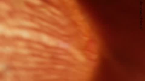 Snapshot of lilicum301 chatting on November 24, 2025, 1:27 am your love online show from November 24, 2025, 1:27 am