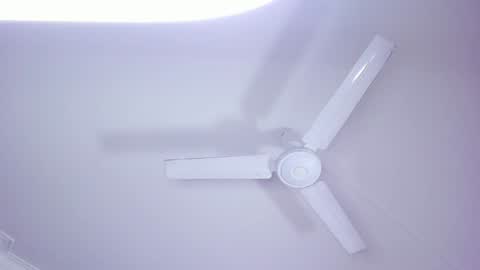 Lili  Marcus online show from January 4, 2025, 10:24 pm