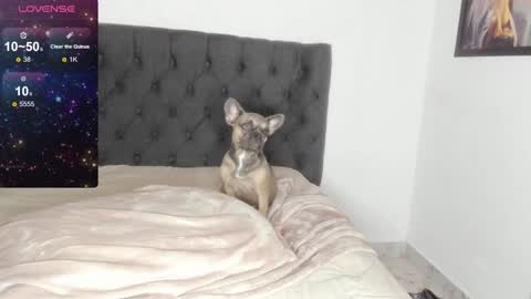 Snapshot of lilith_parker chatting on February 9, 2025, 4:14 am Lilith Parker online show from February 9, 2025, 4:14 am