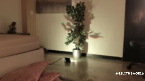 lilith_sage_ online show from November 13, 2025, 11:53 am