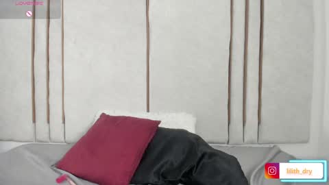 Snapshot of lilithdry chatting on April 28, 2026, 2:27 am Lilith online show from April 28, 2026, 2:27 am
