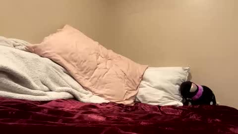 Snapshot of lilkittyphatkat chatting on September 12, 2025, 3:56 pm Kitty online show from September 12, 2025, 3:56 pm