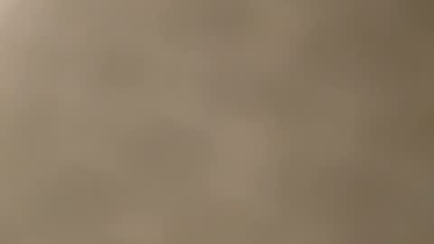 Mia online show from November 21, 2025, 12:26 pm