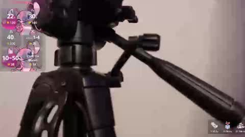 Lily online show from November 7, 2025, 3:50 am