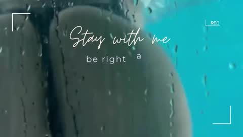 Snapshot of lily_foster_ chatting on November 9, 2025, 6:33 am Lily online show from November 9, 2025, 6:33 am