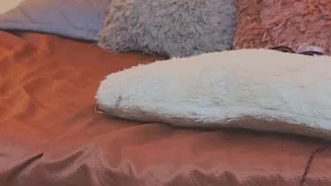 lily_sanderss online show from January 19, 2026, 2:32 pm