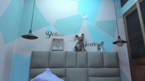 Lily online show from February 25, 2025, 8:03 am