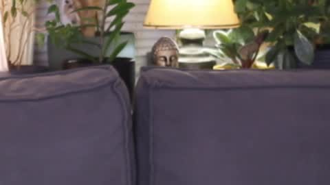 Snapshot of lilyminx chatting on November 13, 2025, 3:55 pm -- My Wishlist online show from November 13, 2025, 3:55 pm