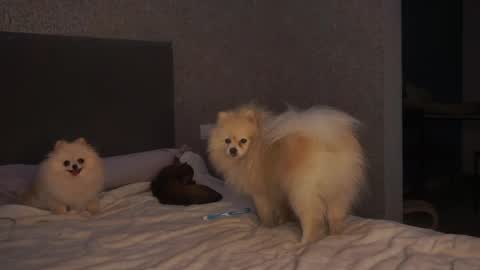 Snapshot of lindaaii chatting on May 5, 2026, 1:30 pm Linda online show from May 5, 2026, 1:30 pm