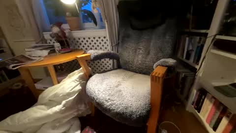 lingonkuk online show from November 25, 2025, 6:35 am