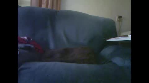 lion160868 online show from November 28, 2025, 9:23 am