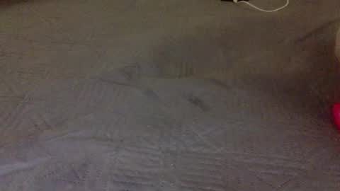 Snapshot of lipinhofortal853516 chatting on November 10, 2025, 12:31 am lipinhofortal853516 online show from November 10, 2025, 12:31 am