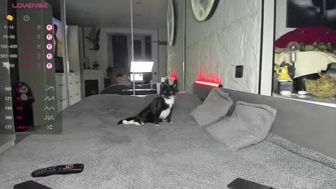 Snapshot of lisa__fox chatting on November 17, 2025, 2:45 pm Lisa online show from November 17, 2025, 2:45 pm