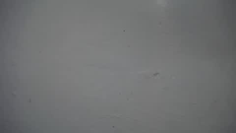 Snapshot of lisa_branch chatting on November 16, 2025, 12:33 pm lisa_branch online show from November 16, 2025, 12:33 pm