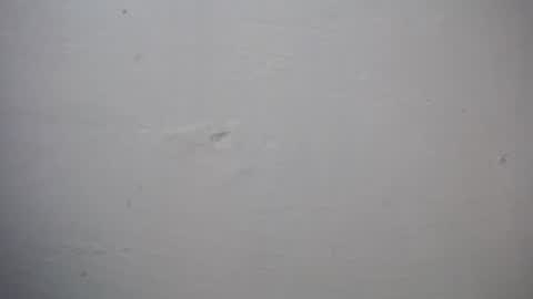 Snapshot of lisa_branch chatting on November 27, 2025, 7:27 pm lisa_branch online show from November 27, 2025, 7:27 pm