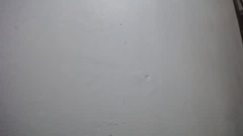 Snapshot of lisa_branch chatting on November 29, 2025, 11:02 am lisa_branch online show from November 29, 2025, 11:02 am