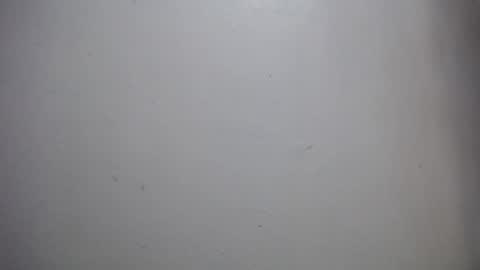 Snapshot of lisa_branch chatting on December 14, 2025, 11:59 am lisa_branch online show from December 14, 2025, 11:59 am