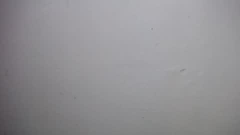 Snapshot of lisa_branch chatting on December 18, 2025, 10:54 am lisa_branch online show from December 18, 2025, 10:54 am