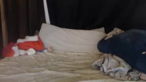 Snapshot of lisa_tyler chatting on December 27, 2024, 7:40 am Lisa Tyler online show from December 27, 2024, 7:40 am