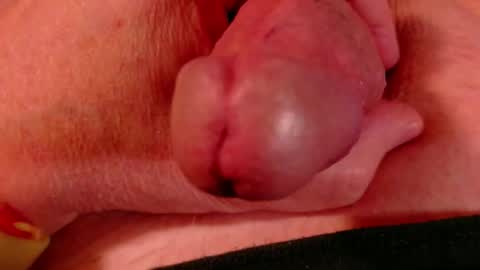 Littlebits online show from February 23, 2026, 4:43 am