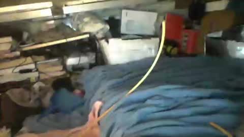 littlejay             littlejay online show from October 4, 2025, 7:17 am