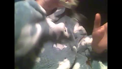 Snapshot of littlepaul2 chatting on December 27, 2024, 9:22 pm LittlePaul online show from December 27, 2024, 9:22 pm