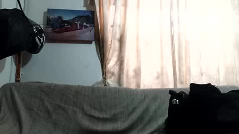 Snapshot of littlepornstars chatting on February 20, 2026, 4:07 pm Kruger and girls online show from February 20, 2026, 4:07 pm