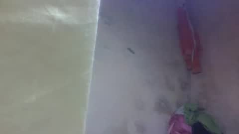 yanah online show from September 11, 2025, 11:21 am