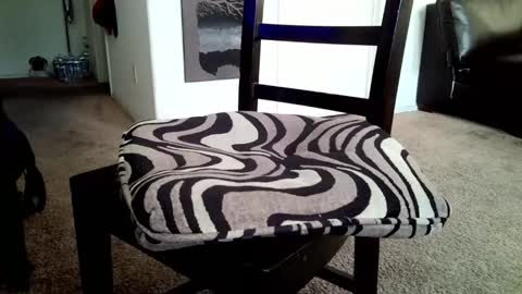 LL Cool Jake online show from March 16, 2026, 2:21 pm