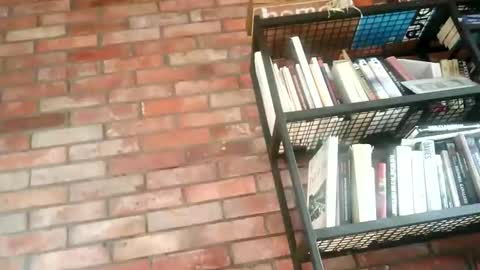 Snapshot of lllukasssxxx chatting on November 1, 2025, 9:33 am lllukasssxxx online show from November 1, 2025, 9:33 am