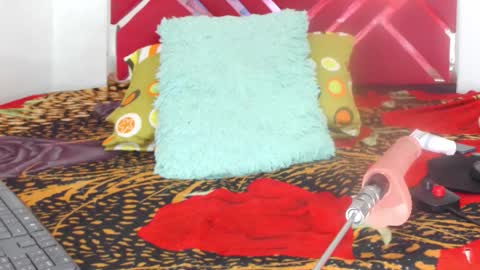 loaisisAdamss online show from February 28, 2026, 2:23 am