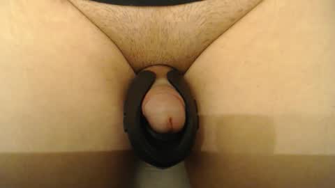 Snapshot of lobotomizer chatting on December 14, 2025, 12:21 pm lobotomizer online show from December 14, 2025, 12:21 pm