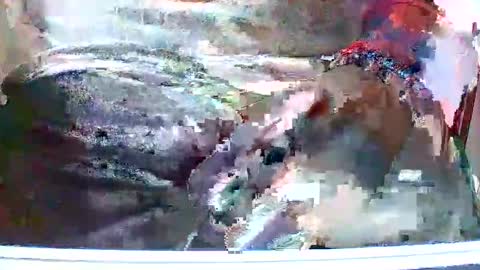 Snapshot of loboxavi chatting on November 13, 2025, 3:11 pm loboxavi online show from November 13, 2025, 3:11 pm