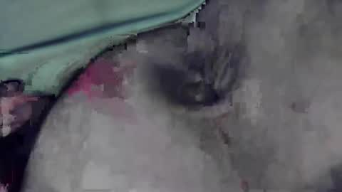 lofkok online show from March 12, 2025, 4:13 pm